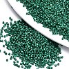 FGB 11/0 Grade A Baking Paint Glass Seed Beads X-SEED-S030-1039-1