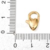 316 Stainless Steel Lobster Claw Clasps STAS-C154-03A-G-3