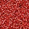 TOHO 6/0 Round Beads X-SEED-TR06-2201-4
