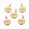 Brass Charms ZIRC-L070-63G-1