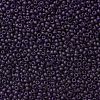 TOHO Round Seed Beads X-SEED-TR08-0008DF-2