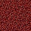 TOHO 11/0 Round Beads X-SEED-TR11-0025CF-2