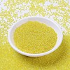 MIYUKI Round Rocailles Beads SEED-X0054-RR0252-2