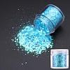 Holographic Nail Art Sequins Glitter MRMJ-K006-08-04-1