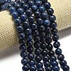 Natural Malaysia Jade Beads Strands G-L645-A01-10mm-06-3