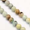 Natural Flower Amazonite Round Beads Strands G-S161-10mm-1