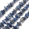 Natural Kyanite/Cyanite/Disthene Chip Beads Strands X-G-E271-78-1