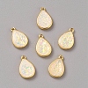 Brass Resin Imitation Opal Pendants KK-WH0054-67G-1