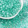 Glass Seed Beads SEED-A032-05M-1