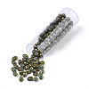 2-Hole Seed Beads SEED-R048-63030-4
