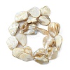 Handmade Shell Beads Strands PBB471-1-2