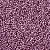 MIYUKI Round Rocailles Beads X-SEED-G008-RR0645-4