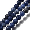 Natural Sodalite Round Bead Strands G-P072-27-8mm-2