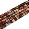 Natural Polychrome Jasper/Picasso Stone/Picasso Jasper Beads Strands G-T141-87B-4