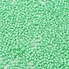 Baking Paint Glass Seed Beads SEED-S042-05B-59-3