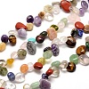 Natural & Synthetic Gemstone Chip Bead Strands G-M204-58-1