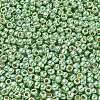 TOHO 6/0 Round Beads X-SEED-TR06-PF0560-3