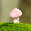 Resin Mushroom Miniature Ornaments PW-WG67BFB-03-1