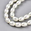 Baking Paint Pearlized Glass Pearl Bead Strands X-HY-T002-01A-02-2