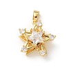 Brass Micro Pave Clear Cubic Zirconia Pendants ZIRC-D276-01G-I-1