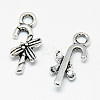 Tibetan Style Alloy Charms X-TIBE-S301-028AS-NR-1