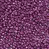 8/0 Glass Seed Beads X-SEED-A017-3mm-1121-2