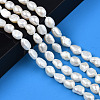 Grade AA Natural Cultured Freshwater Pearl Beads Strands PEAR-N014-08B-6
