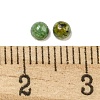 Natural African Turquoise(Jasper) Cabochons G-Q173-01A-05-3