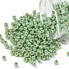 TOHO 6/0 Round Beads SEED-XTR06-PF0560-1