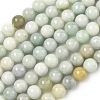 Natural Myanmar Jade/Burmese Jade Beads Strands G-K310-C05-8mm-01-1