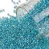 TOHO Round Seed Beads SEED-JPTR15-0023-1
