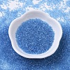 MIYUKI Delica Beads SEED-X0054-DB0113-2