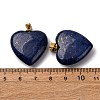 Dyed Natural Lapis Lazuli Pendants G-G287-01G-08-3