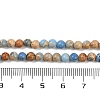 Dyed Natural Regalite/Imperial Jasper/Sea Sediment Jasper Beads Strands G-B124-C04-13-4