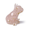 Resin Dog Display Decoration DJEW-P021-C02-2