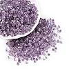 6/0 Transparent Inside Colours Glass Seed Beads SEED-N006-003L-1