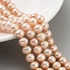 Natural Cultured Freshwater Pearl Beads Strands PEAR-C003-18B-2