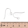 925 Sterling Silver Earring Hooks STER-K167-051A-S-3