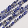 Natural Gemstone Blue Spot Jasper Round Beads Strands LS-G-A130-2mm-21-1