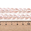 Baking Paint Transparent Glass Beads Strands DGLA-N011-8mm-03-4