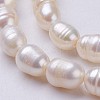 Natural Cultured Freshwater Pearl Beads Strands PEAR-P002-43-3