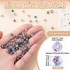 Picasso Baking Paint Glass Seed Beads SEED-TA0001-62N-3