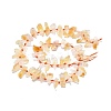 Natural Citrine Beads Strands G-F715-071A-2