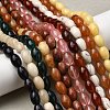 Natural & Synthetic Mixed Gemstone Beads Strands G-K362-I-04-1