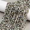 Natural Moss Agate Beads Strands G-RM2025-A33-2mm-1