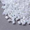 Opaque Rainbow Two Cut Glass Seed Beads SEED-Q022-401-1