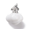 Acrylic Pendants FIND-I024-05B-1