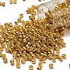 TOHO 6/0 Round Beads SEED-TR06-PF0557-1