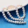 Natural Cultured Freshwater Pearl Beads Strands X-A23WT011-2