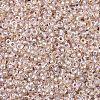 MIYUKI Round Rocailles Beads X-SEED-G007-RR1023-2